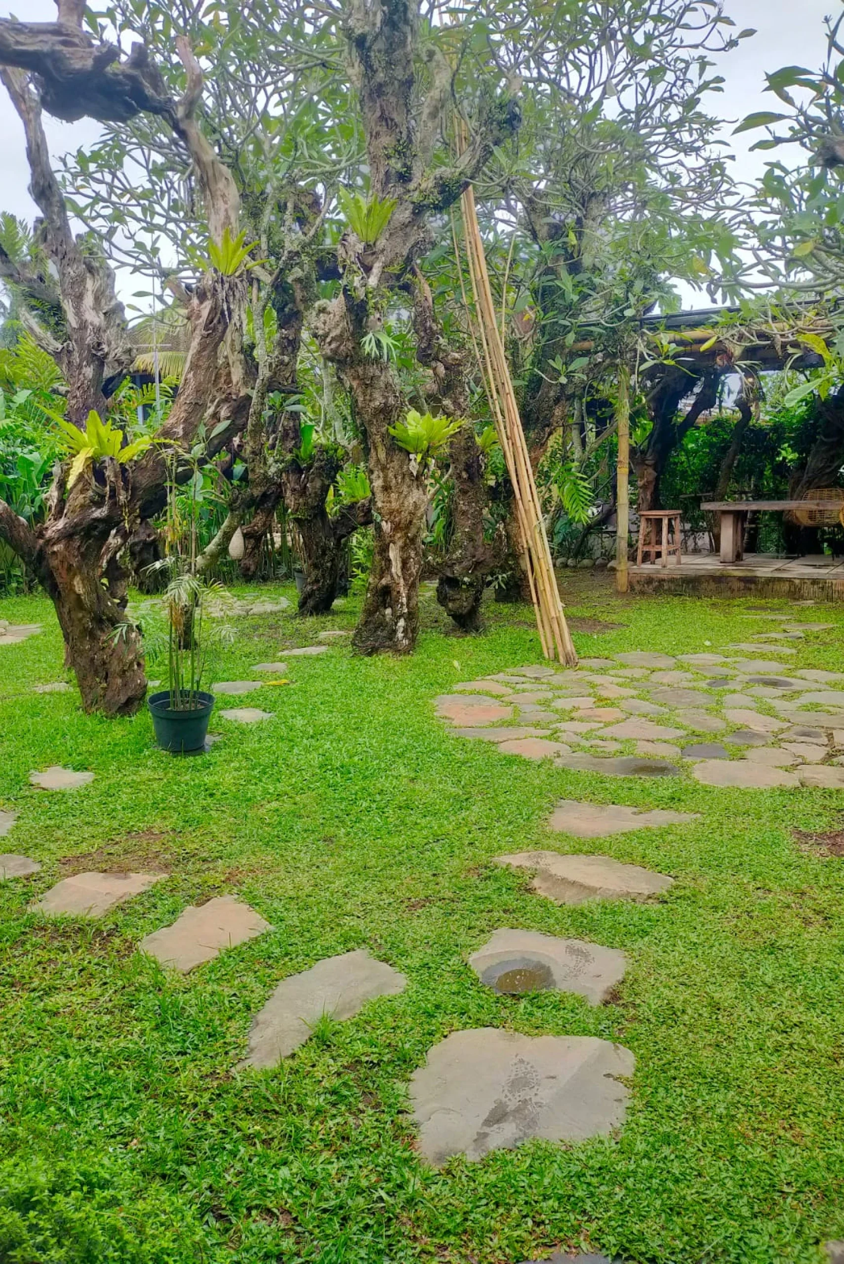 PHOTO-2024-12-26-16-09-59